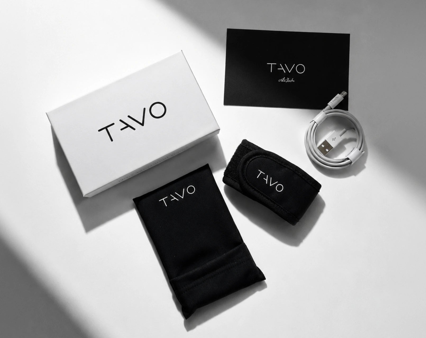 TAVO V2 branded electronic accessories including a box, case, and cable on a white surface.